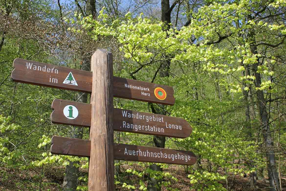 Der Stadtteiltreff „Mahnte“ lädt ein: Wanderung zum Auerhuhnschaugehege