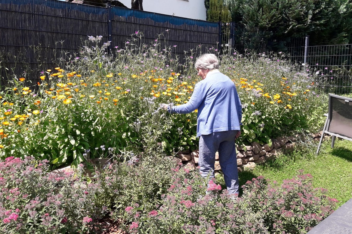 Garten.Uslar.2024.1.jpg