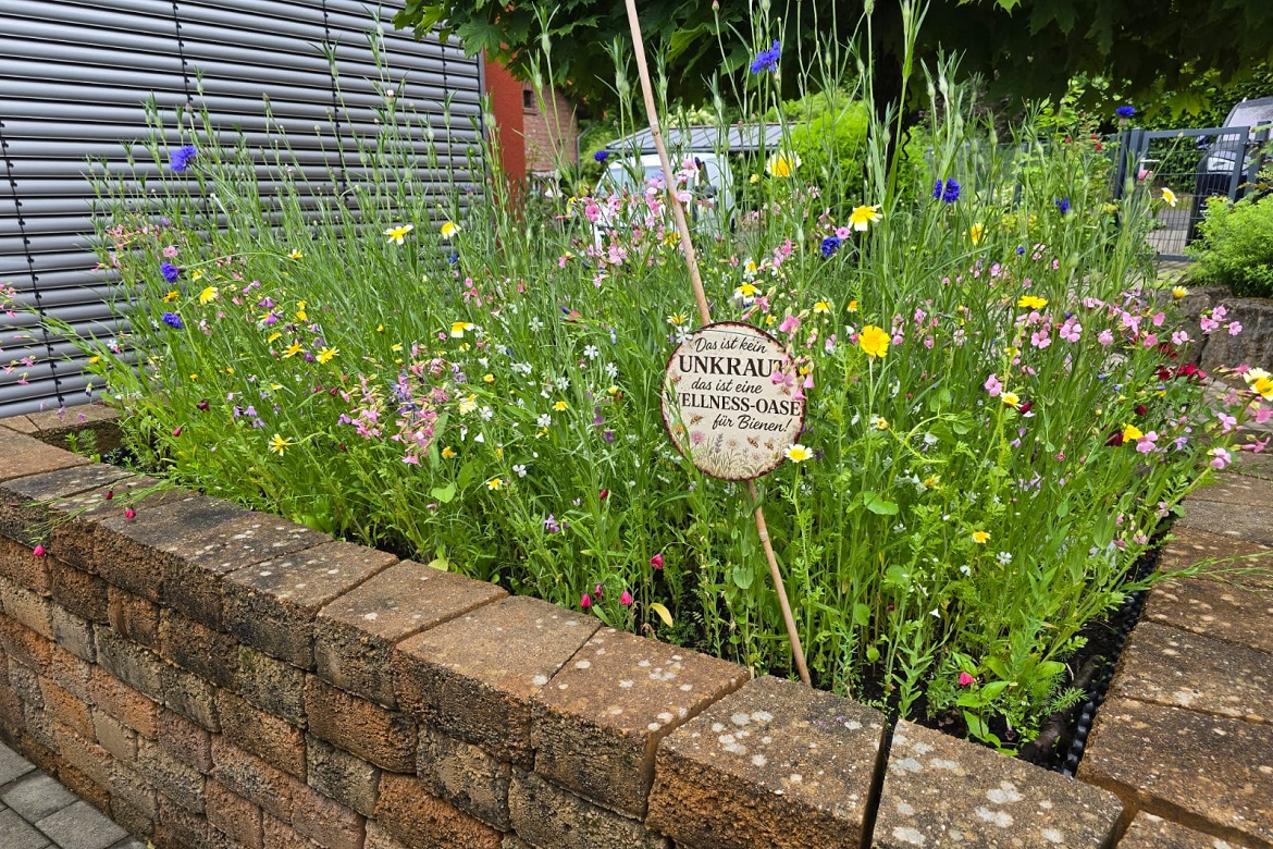 Ein neues Zuhause für Bienen und Hummeln